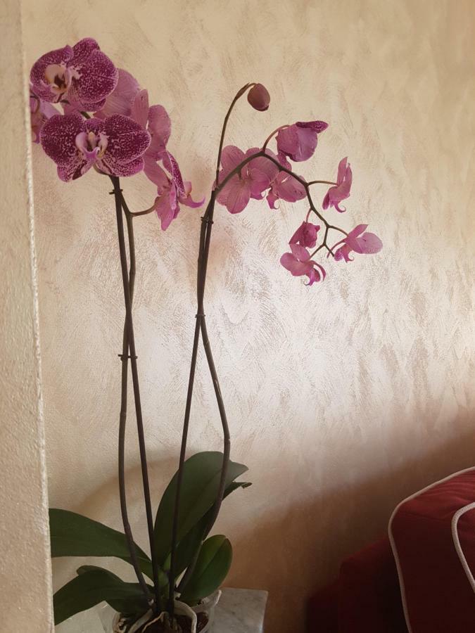 Casa Vacanza Nonna Dora Matera Luaran gambar
